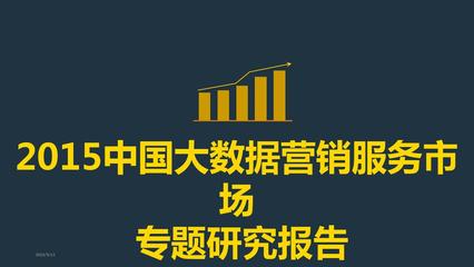 互联网大数据营销服务行业分析研究报告【ppt版可编辑】
